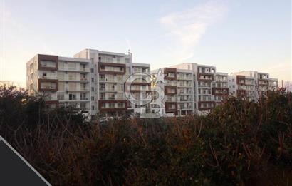 Lefke Avrupa Üniversitesi’ne Yürüme Mesafesinde – Kiracılı Teslim 1+1 Yatırım Dairesi!