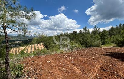 Muğla Yenibağyaka Satılık Tarla 