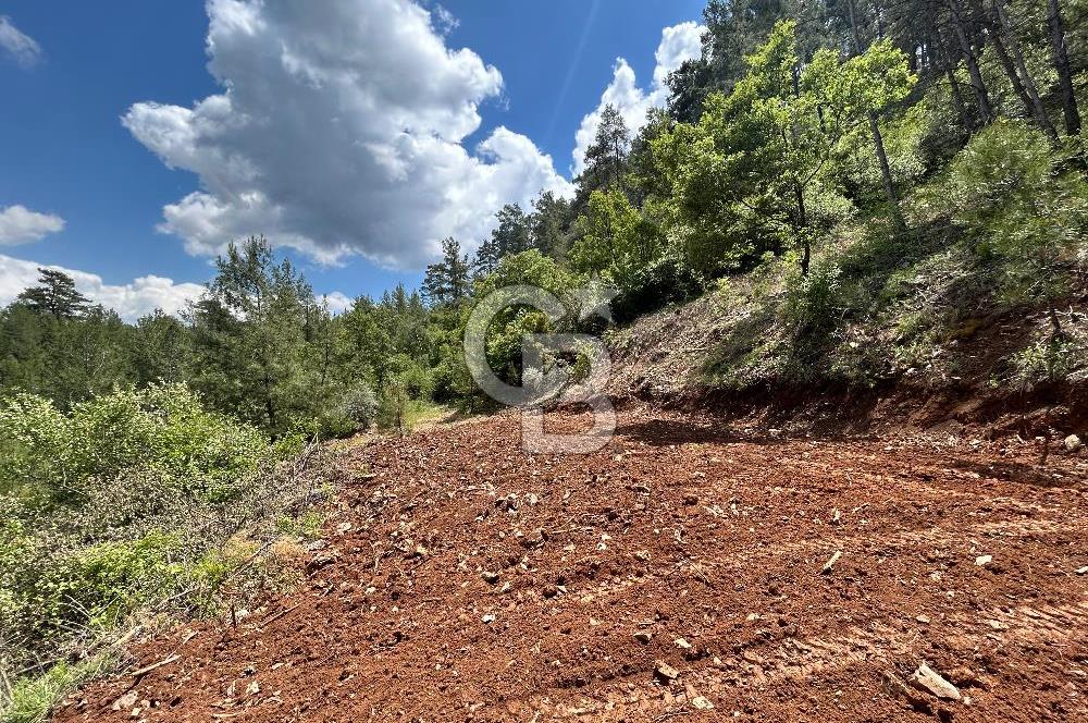 Muğla Yenibağyaka Satılık Tarla 
