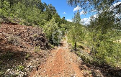 Muğla Yenibağyaka Satılık Tarla 