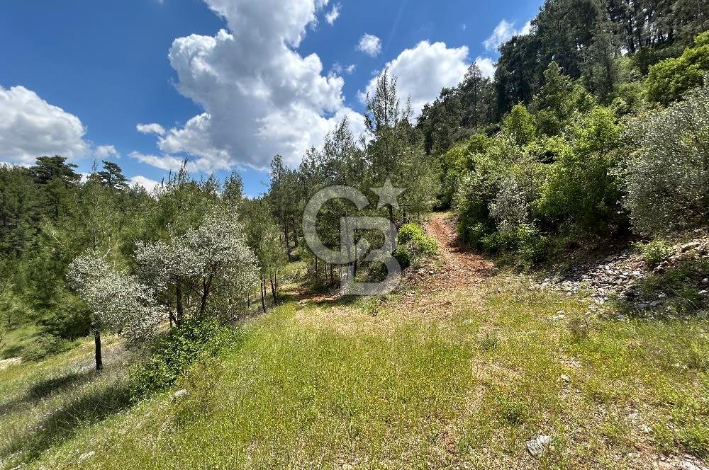 Muğla Yenibağyaka Satılık Tarla 