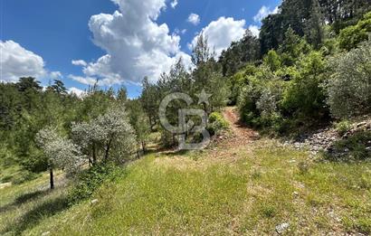 Muğla Yenibağyaka Satılık Tarla 