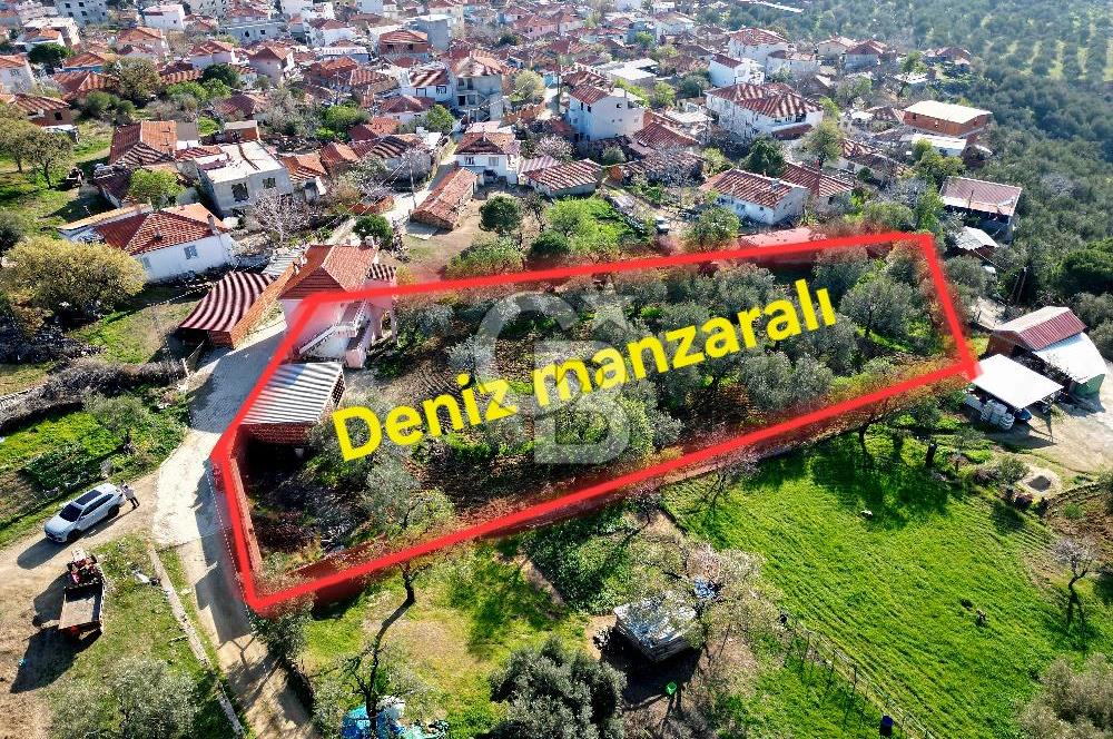 Gömeç Ulubeyler Deniz Manzaralı Satılık 2763 m² Yatırımlık Arsa 