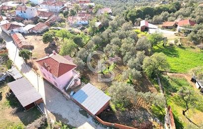Gömeç Ulubeyler Deniz Manzaralı Satılık 2763 m² Yatırımlık Arsa 