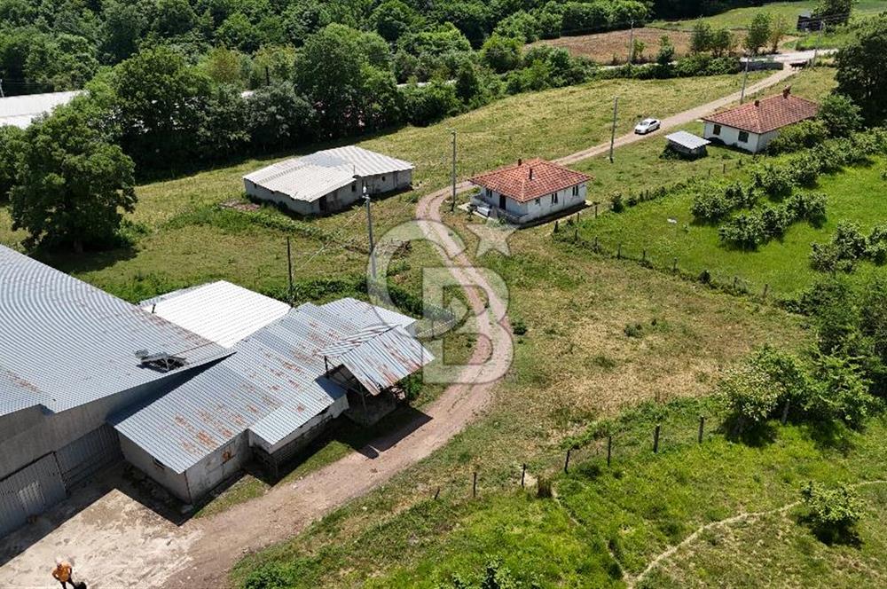 CB TAN KOCAELİ AKMEŞE GÜVERCİNLİK KÖYÜNDE SATILIK BESİ ÇİFTLİĞİ