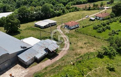 CB TAN KOCAELİ AKMEŞE GÜVERCİNLİK KÖYÜNDE SATILIK BESİ ÇİFTLİĞİ
