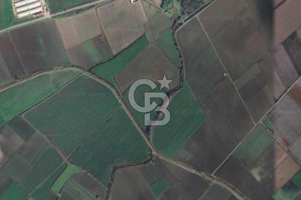 İZMİR BERGAMA AHMETBEYLER'DE SATILIK MÜSTAKİL TARLA