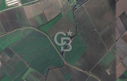 İZMİR BERGAMA AHMETBEYLER'DE SATILIK MÜSTAKİL TARLA