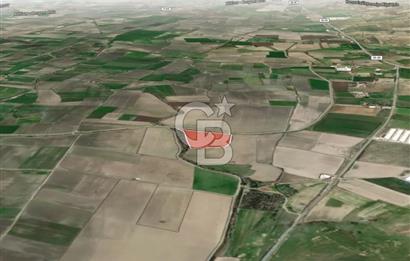 İZMİR BERGAMA AHMETBEYLER'DE SATILIK MÜSTAKİL TARLA