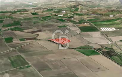 İZMİR BERGAMA AHMETBEYLER'DE SATILIK MÜSTAKİL TARLA