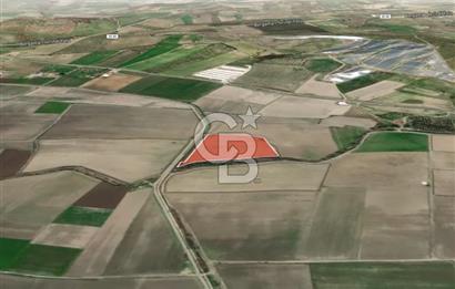 İZMİR BERGAMA AHMETBEYLER'DE SATILIK MÜSTAKİL TARLA