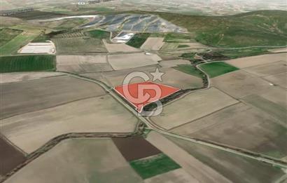 İZMİR BERGAMA AHMETBEYLER'DE SATILIK MÜSTAKİL TARLA