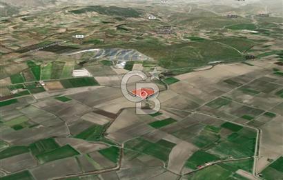İZMİR BERGAMA AHMETBEYLER'DE SATILIK MÜSTAKİL TARLA