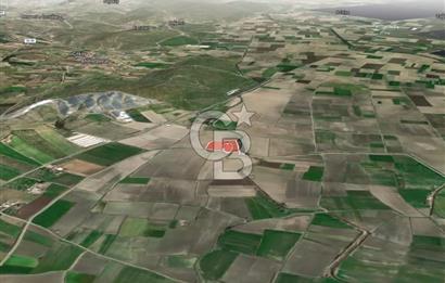 İZMİR BERGAMA AHMETBEYLER'DE SATILIK MÜSTAKİL TARLA