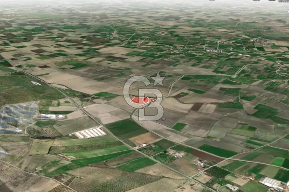 İZMİR BERGAMA AHMETBEYLER'DE SATILIK MÜSTAKİL TARLA