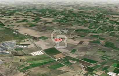İZMİR BERGAMA AHMETBEYLER'DE SATILIK MÜSTAKİL TARLA