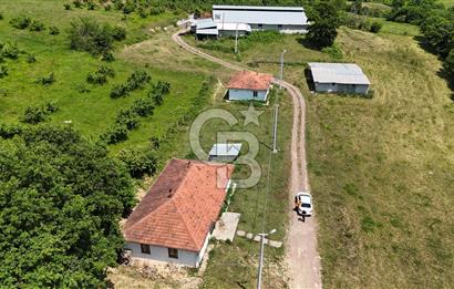 CB TAN KOCAELİ AKMEŞE GÜVERCİNLİK KÖYÜNDE SATILIK BESİ ÇİFTLİĞİ