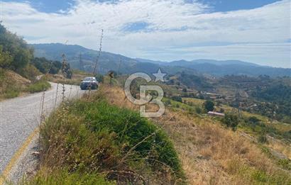 Üzüm Bağların Gözdesi Kavacık'ta 14 Dönüm Asfalt Yol Cepheli Bağ Nitelikli Arazi