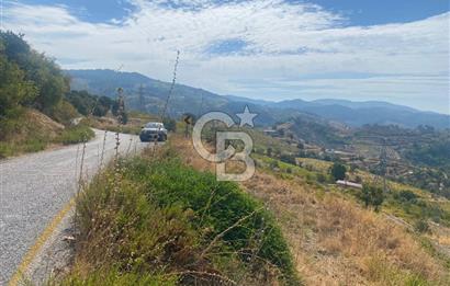 Üzüm Bağların Gözdesi Kavacık'ta 14 Dönüm Asfalt Yol Cepheli Bağ Nitelikli Arazi
