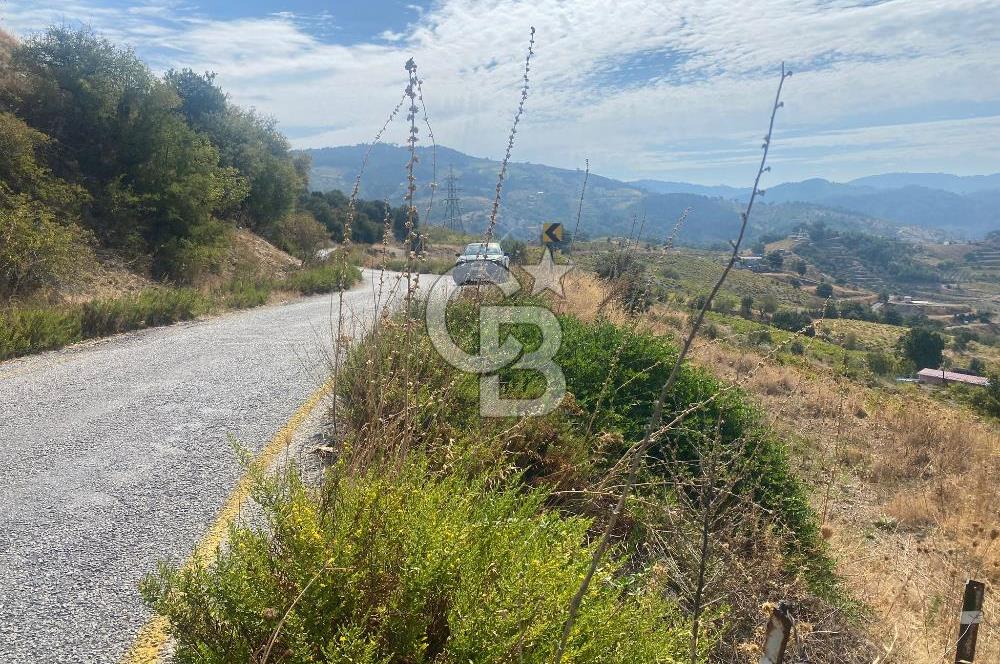 Üzüm Bağların Gözdesi Kavacık'ta 14 Dönüm Asfalt Yol Cepheli Bağ Nitelikli Arazi