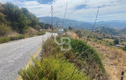 Üzüm Bağların Gözdesi Kavacık'ta 14 Dönüm Asfalt Yol Cepheli Bağ Nitelikli Arazi
