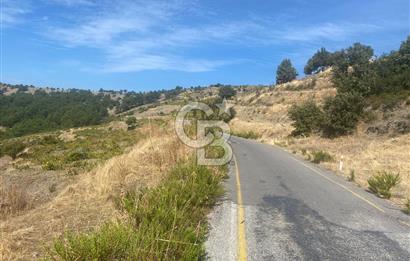 Üzüm Bağların Gözdesi Kavacık'ta 14 Dönüm Asfalt Yol Cepheli Bağ Nitelikli Arazi