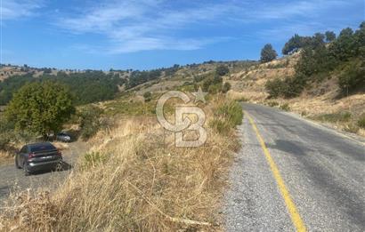 Üzüm Bağların Gözdesi Kavacık'ta 14 Dönüm Asfalt Yol Cepheli Bağ Nitelikli Arazi