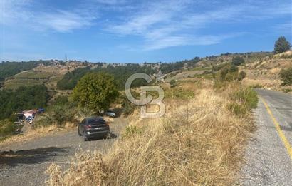 Üzüm Bağların Gözdesi Kavacık'ta 14 Dönüm Asfalt Yol Cepheli Bağ Nitelikli Arazi