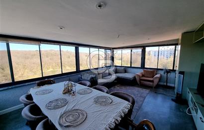 Kemerburgaz da Orman manzaralı 3+1 Satılık Dubleks daire