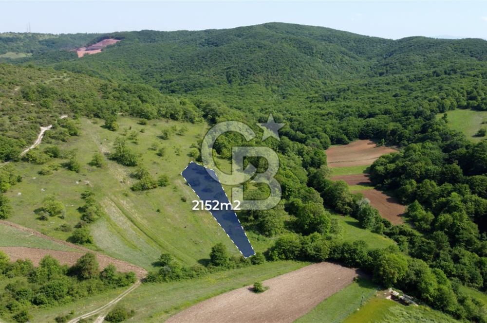 CB AKADEMİ KANDIRA GIDA OSB'YE YAKIN SATILIK 2152 m2 TARLA