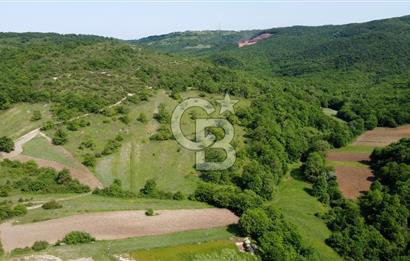 CB AKADEMİ KANDIRA GIDA OSB'YE YAKIN SATILIK 2152 m2 TARLA