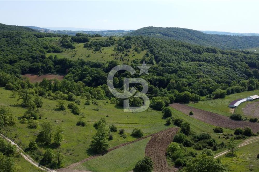 CB AKADEMİ KANDIRA GIDA OSB'YE YAKIN SATILIK 2152 m2 TARLA