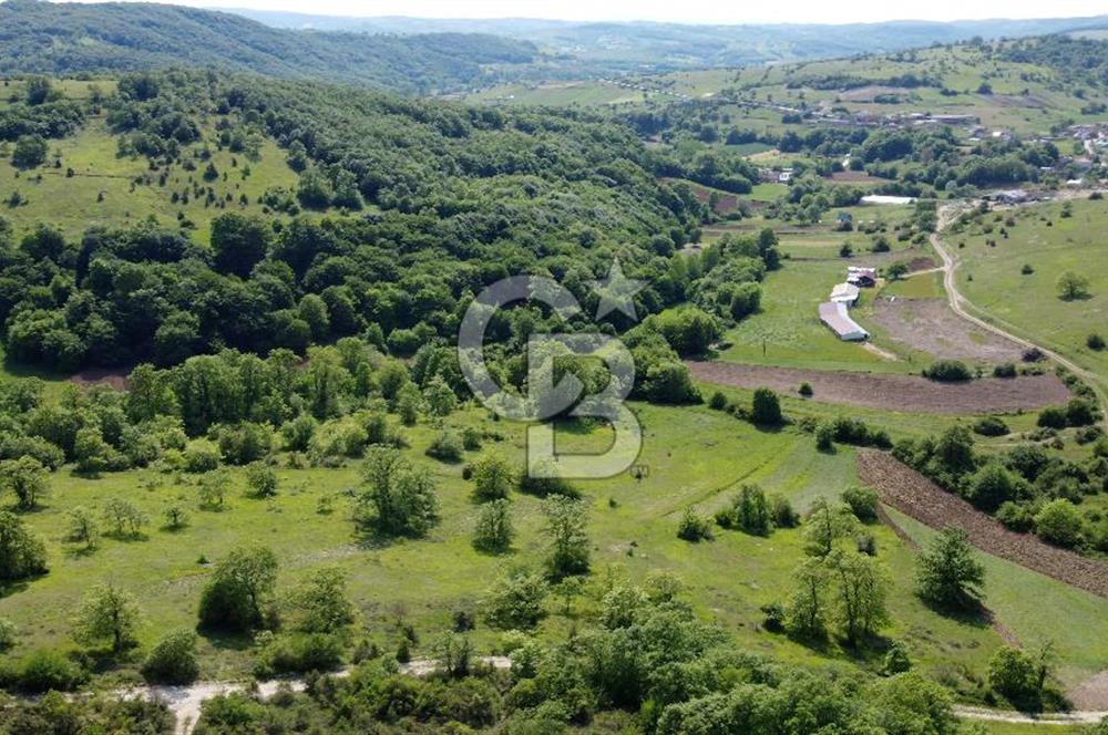 CB AKADEMİ KANDIRA GIDA OSB'YE YAKIN SATILIK 2152 m2 TARLA