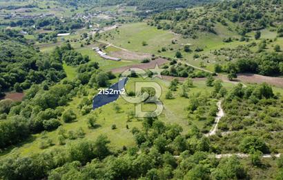 CB AKADEMİ KANDIRA GIDA OSB'YE YAKIN SATILIK 2152 m2 TARLA