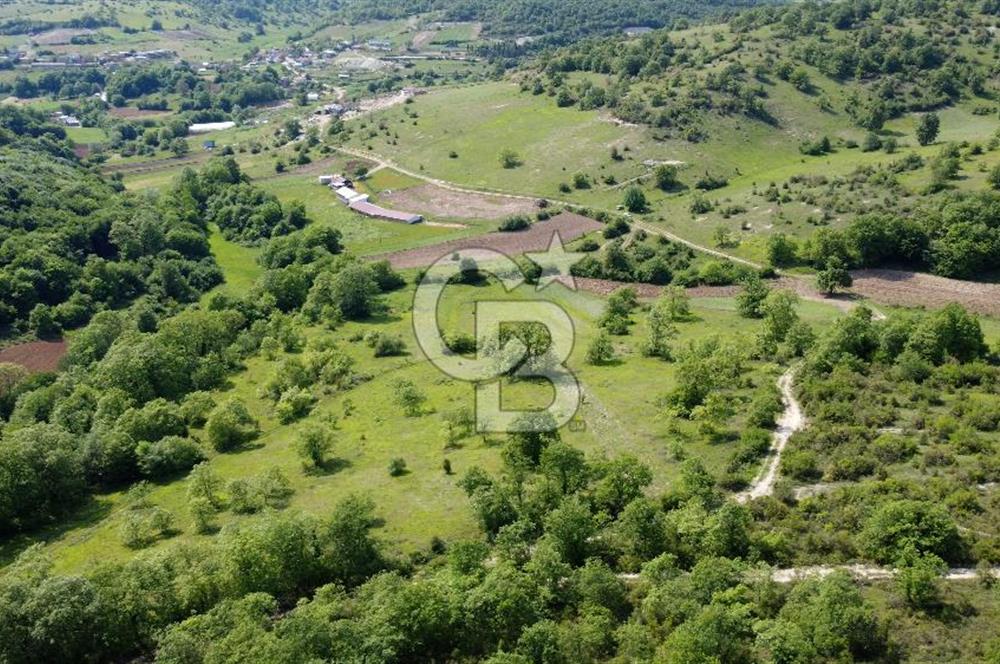CB AKADEMİ KANDIRA GIDA OSB'YE YAKIN SATILIK 2152 m2 TARLA