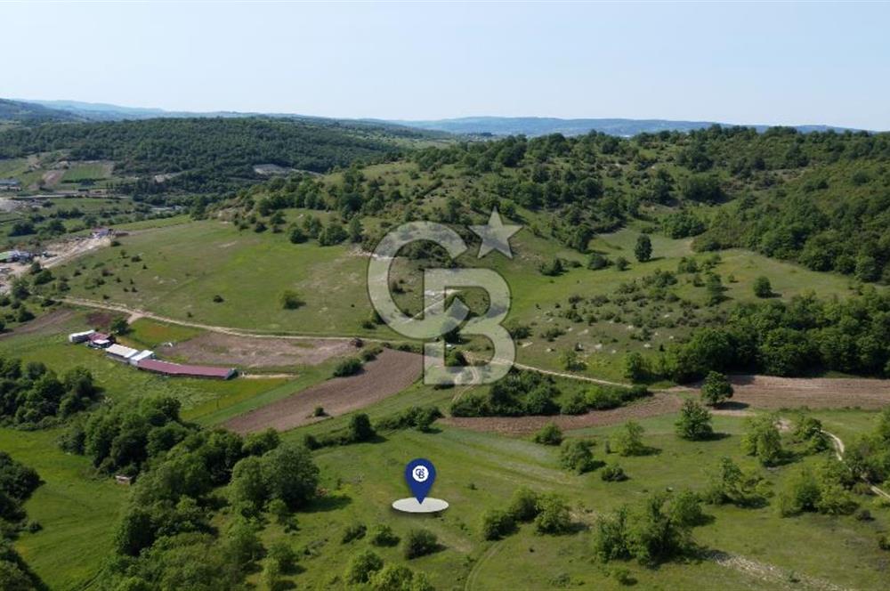 CB AKADEMİ KANDIRA GIDA OSB'YE YAKIN SATILIK 2152 m2 TARLA