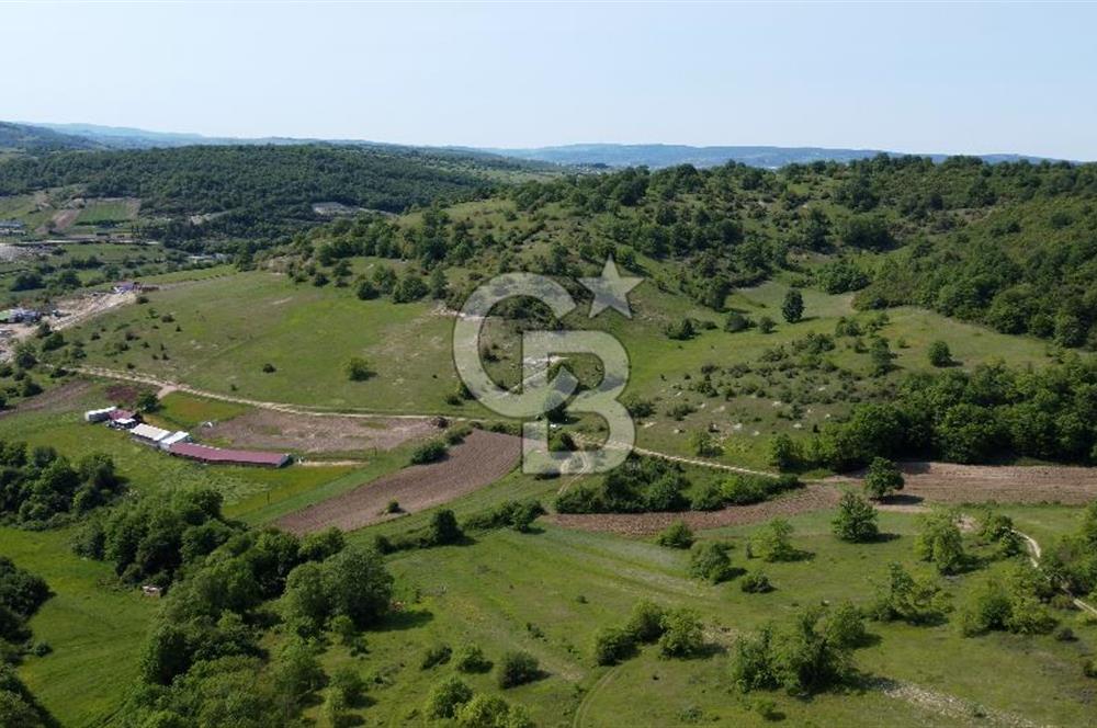 CB AKADEMİ KANDIRA GIDA OSB'YE YAKIN SATILIK 2152 m2 TARLA