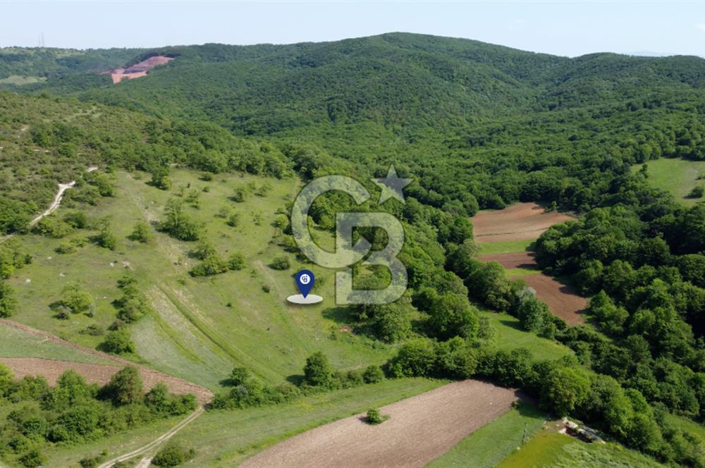CB AKADEMİ KANDIRA GIDA OSB'YE YAKIN SATILIK 2152 m2 TARLA