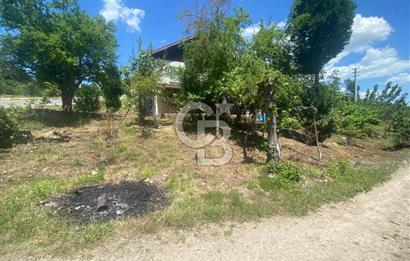 HENDEK'İN GÖZDESİ BAYRAKTEPE YOLUNDA 1803M2 ARSA VE MÜSTAKİL EV