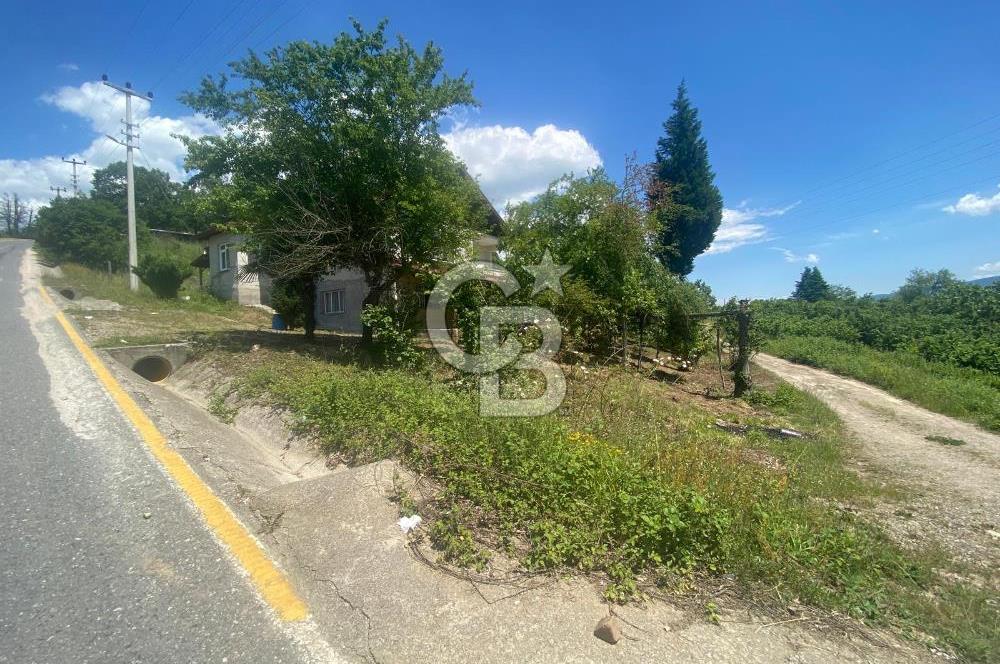 HENDEK'İN GÖZDESİ BAYRAKTEPE YOLUNDA 1803M2 ARSA VE MÜSTAKİL EV