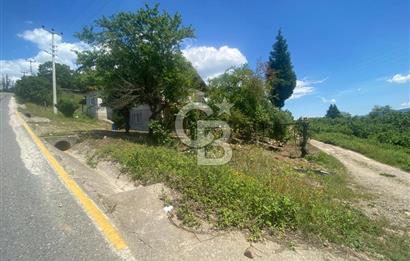 HENDEK'İN GÖZDESİ BAYRAKTEPE YOLUNDA 1803M2 ARSA VE MÜSTAKİL EV