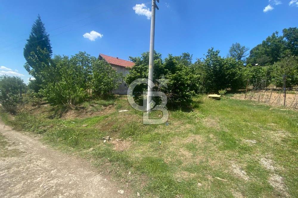 HENDEK'İN GÖZDESİ BAYRAKTEPE YOLUNDA 1803M2 ARSA VE MÜSTAKİL EV