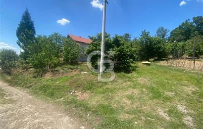 HENDEK'İN GÖZDESİ BAYRAKTEPE YOLUNDA 1803M2 ARSA VE MÜSTAKİL EV