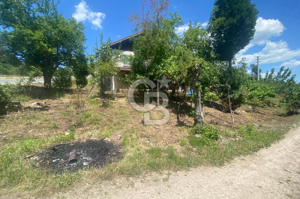 HENDEK'İN GÖZDESİ BAYRAKTEPE YOLUNDA 1803M2 ARSA VE MÜSTAKİL EV