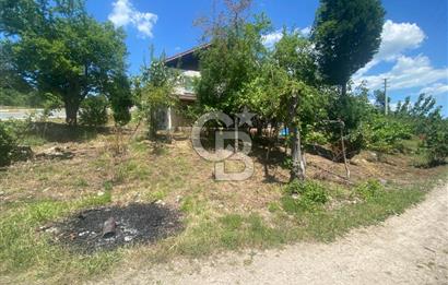 HENDEK'İN GÖZDESİ BAYRAKTEPE YOLUNDA 1803M2 ARSA VE MÜSTAKİL EV