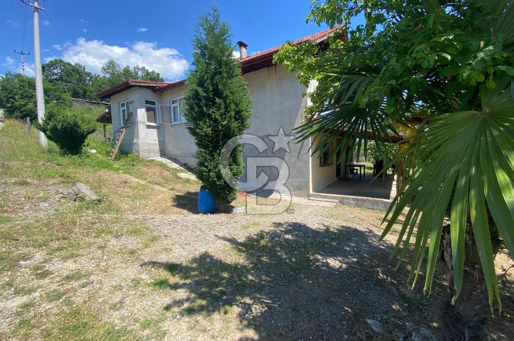 HENDEK'İN GÖZDESİ BAYRAKTEPE YOLUNDA 1803M2 ARSA VE MÜSTAKİL EV
