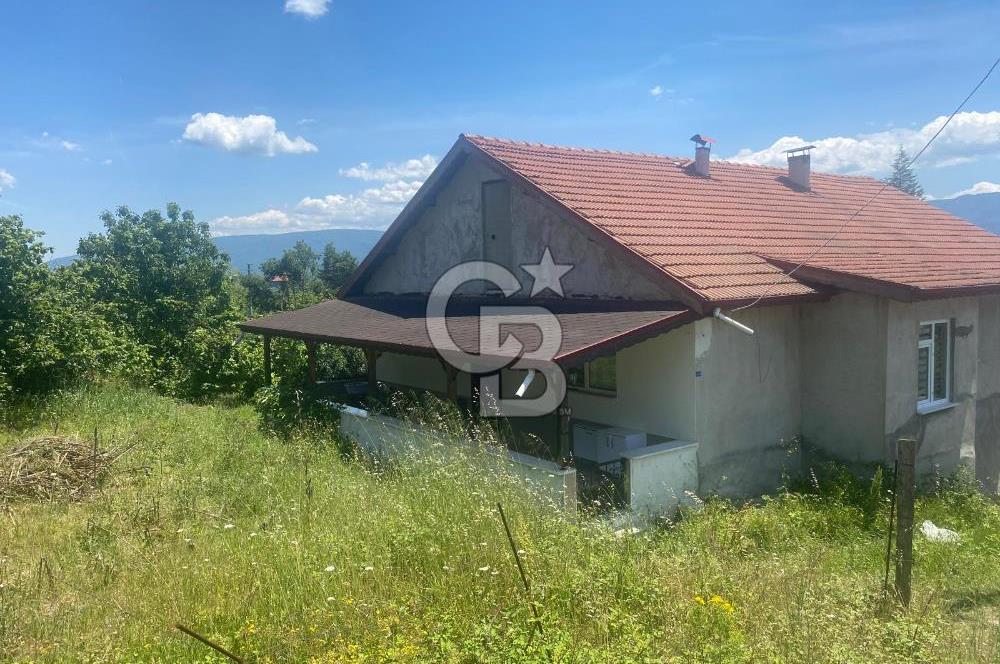 HENDEK'İN GÖZDESİ BAYRAKTEPE YOLUNDA 1803M2 ARSA VE MÜSTAKİL EV