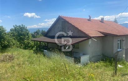 HENDEK'İN GÖZDESİ BAYRAKTEPE YOLUNDA 1803M2 ARSA VE MÜSTAKİL EV