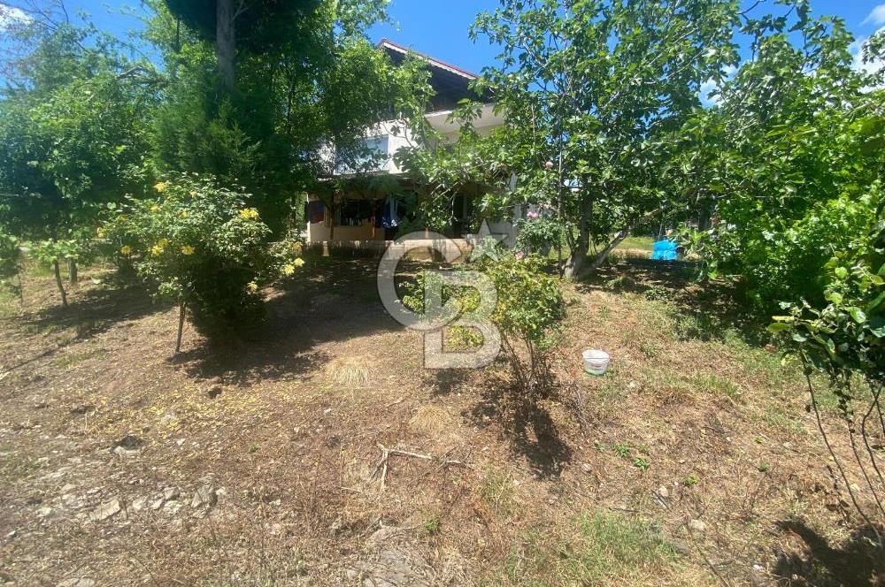 HENDEK'İN GÖZDESİ BAYRAKTEPE YOLUNDA 1803M2 ARSA VE MÜSTAKİL EV