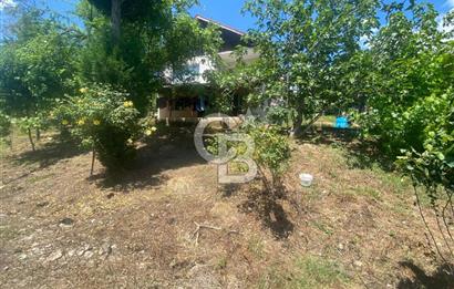 HENDEK'İN GÖZDESİ BAYRAKTEPE YOLUNDA 1803M2 ARSA VE MÜSTAKİL EV